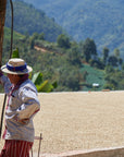 Guatemala | Finca Bella Vista