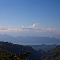 Honduras La Arada