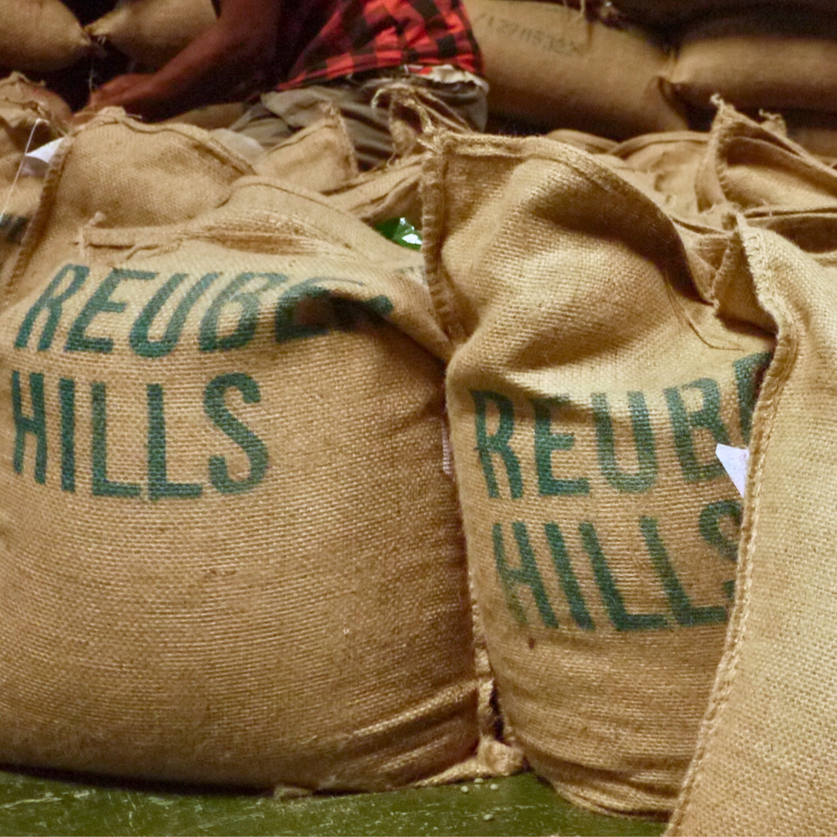 Ethiopia, Birhan Gedeb