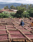 Ethiopia, Banko Gotiti