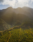 Sunlight illuminating a mountain range with green forest