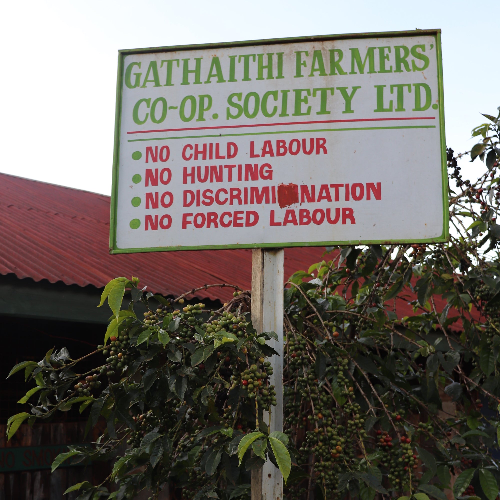 Kenya, Gathaithi PB
