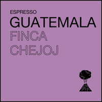 Guatemala Finca Chejoj