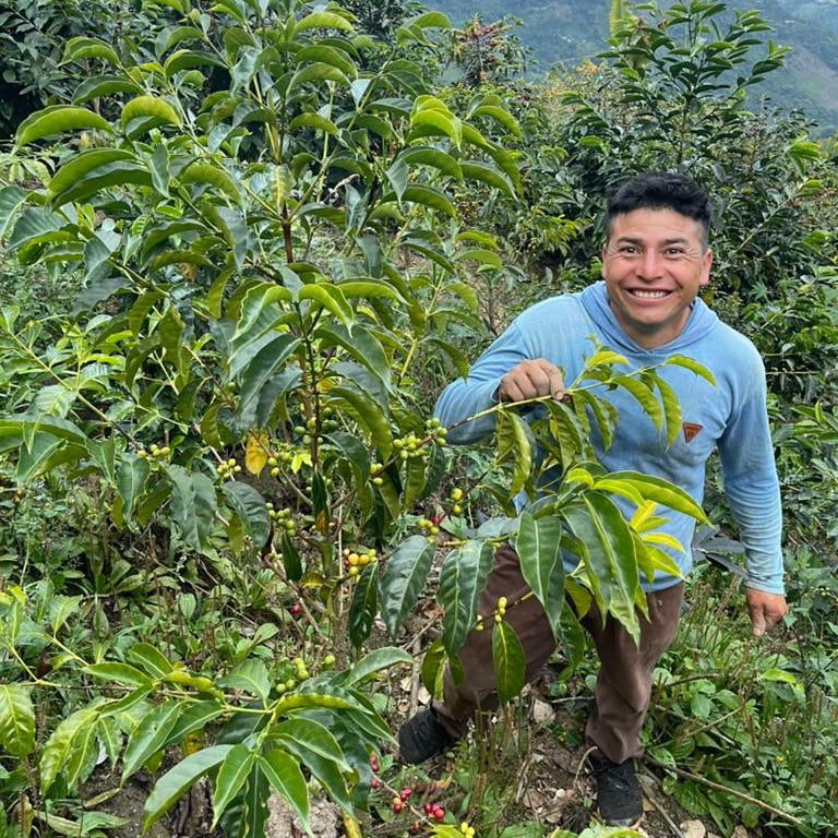 Peru, Hilber Arevalo | Geisha