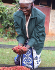 Person holding coffee cherries next to a large pile of red coffee beans outdoors.