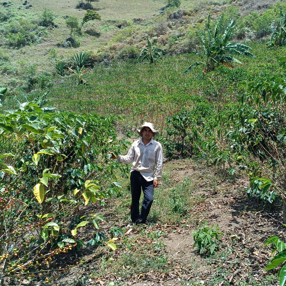 Peru, Lito Cubas Oliviera