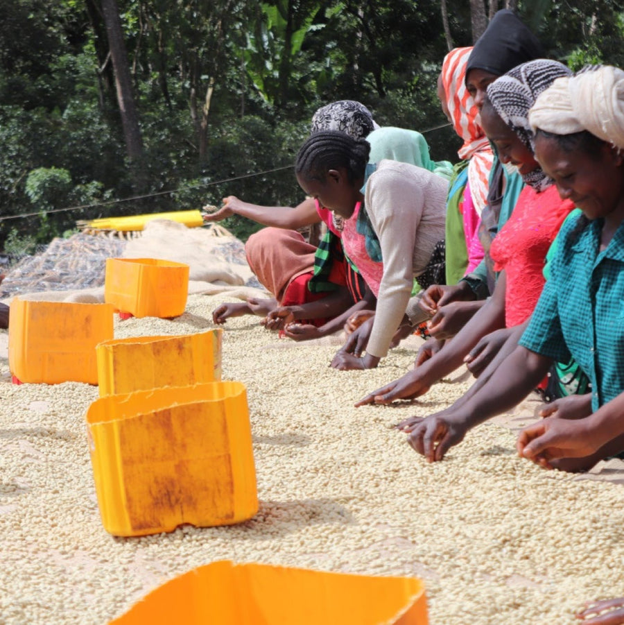 Ethiopia Chelbesa