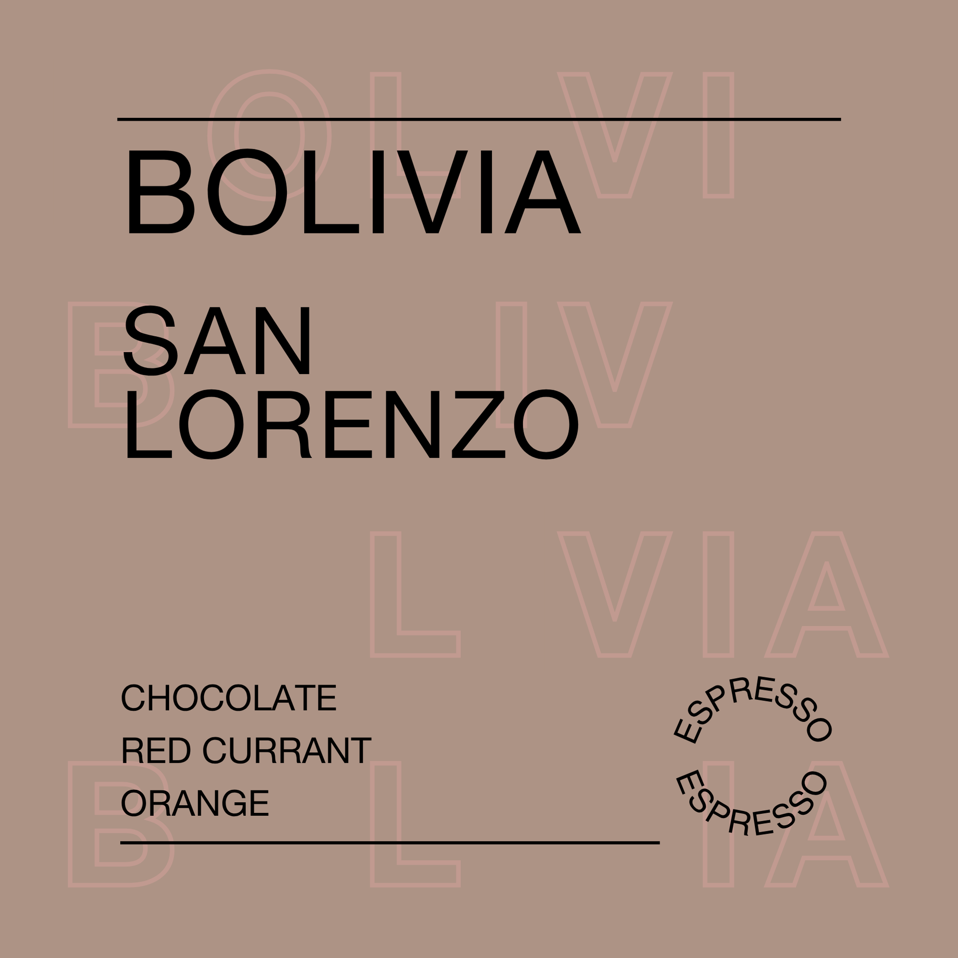 Photo of Bolivia San Lorenzo
