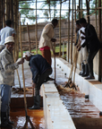 Ethiopia, Raro